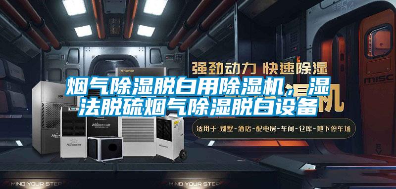烟气除湿脱白用麻豆视频黄网站，湿法脱硫烟气除湿脱白设备