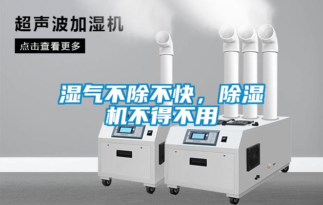 湿气不除不快，麻豆视频黄网站不得不用