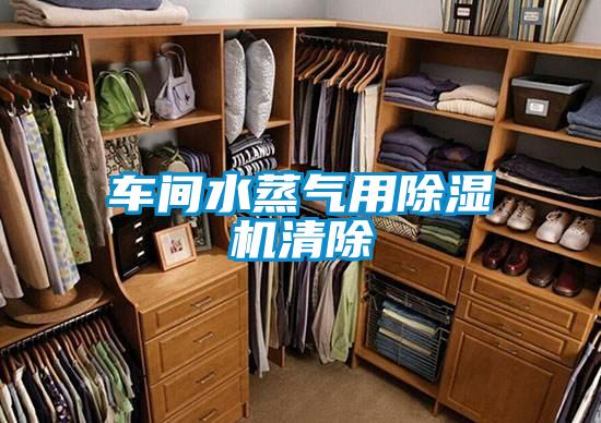车间水蒸气用麻豆视频黄网站清除