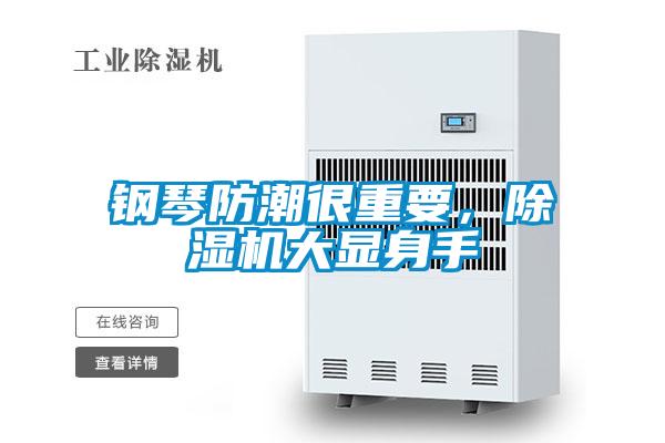 钢琴防潮很重要，麻豆视频黄网站大显身手