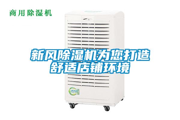 新风麻豆视频黄网站为您打造舒适店铺环境