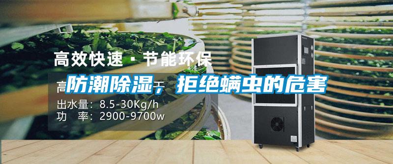防潮除湿，拒绝螨虫的危害