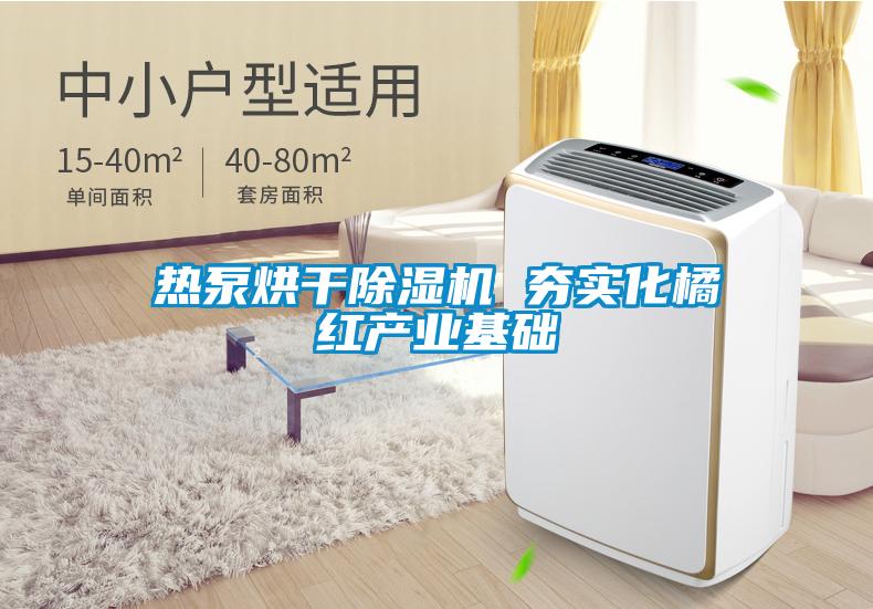 热泵烘干麻豆视频黄网站 夯实化橘红产业基础