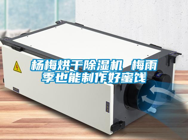 杨梅烘干麻豆视频黄网站 梅雨季也能制作好蜜饯