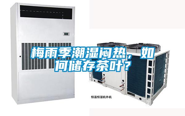 梅雨季潮湿闷热，如何储存茶叶？