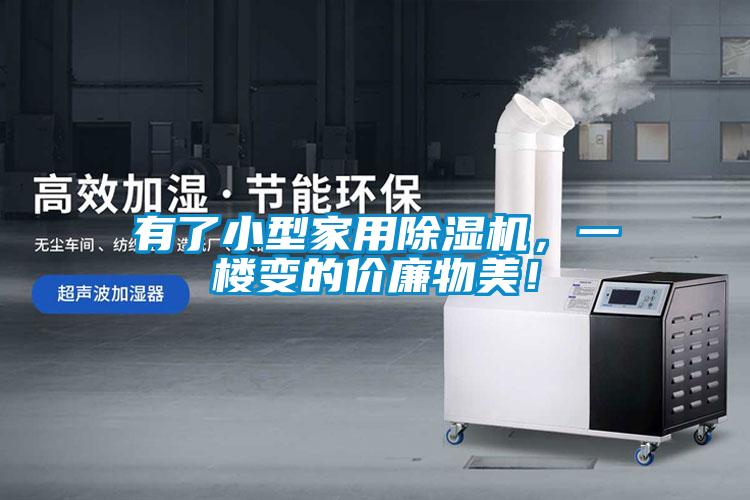 有了小型家用麻豆视频黄网站，一楼变的价廉物美！