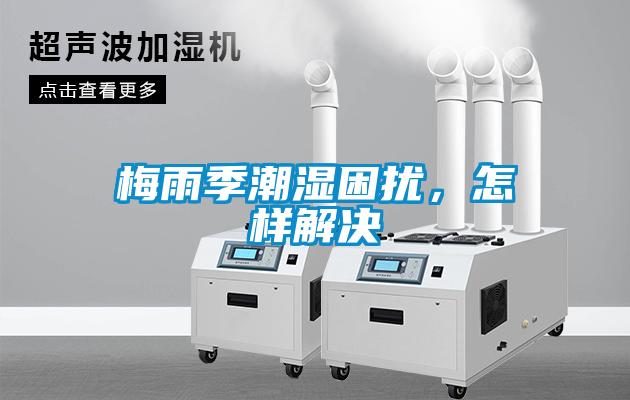 梅雨季潮湿困扰，怎样解决