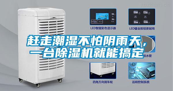 赶走潮湿不怕阴雨天，一台麻豆视频黄网站就能搞定