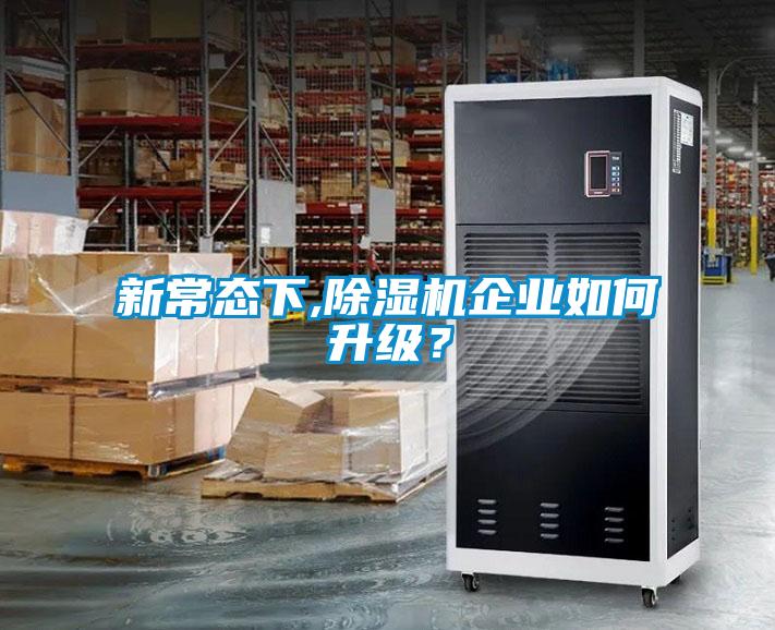 新常态下,麻豆视频黄网站企业如何升级？