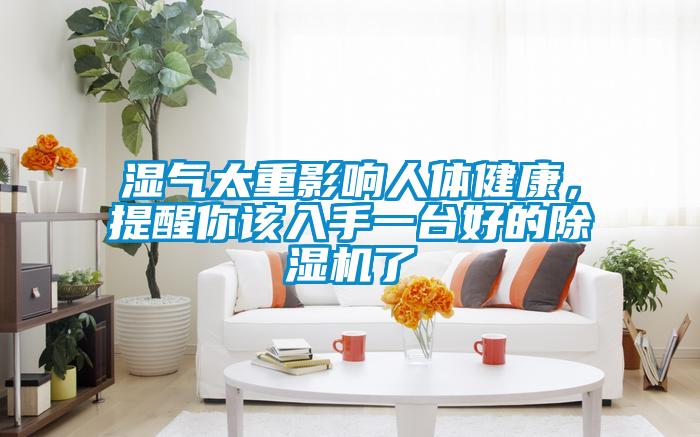 湿气太重影响人体健康，提醒你该入手一台好的麻豆视频黄网站了