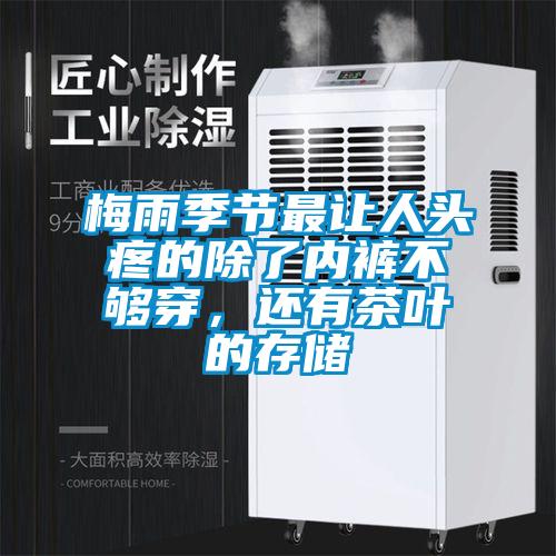 梅雨季节最让人头疼的除了内裤不够穿，还有茶叶的存储