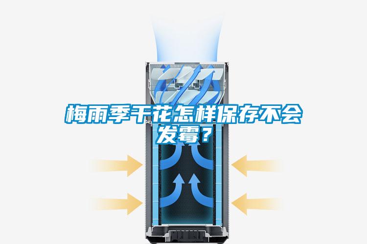 梅雨季干花怎样保存不会发霉？