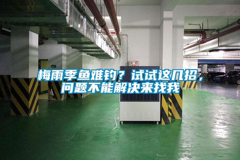 梅雨季鱼难钓？试试这几招，问题不能解决来找我