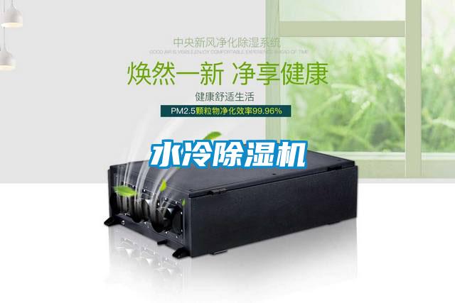 水冷麻豆视频黄网站
