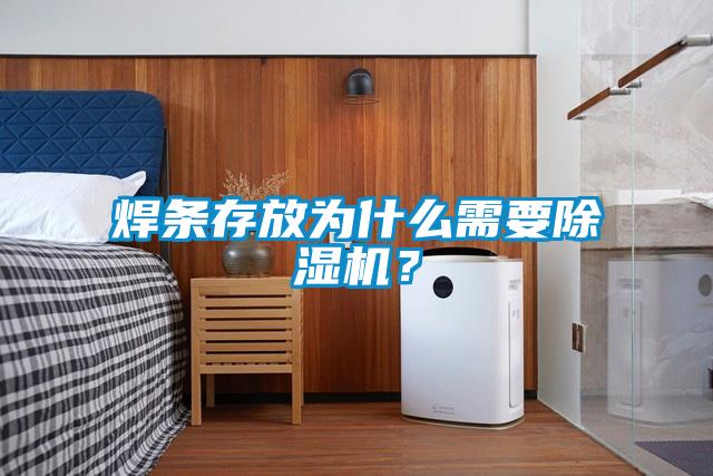 焊条存放为什么需要麻豆视频黄网站？