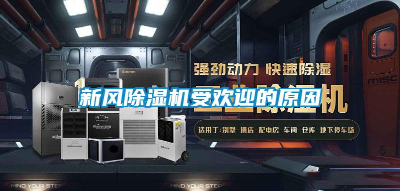 新风麻豆视频黄网站受欢迎的原因