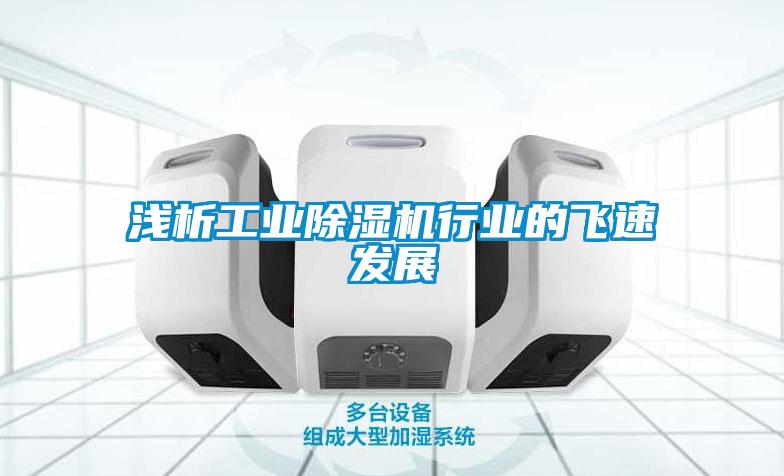 浅析工业麻豆视频黄网站行业的飞速发展