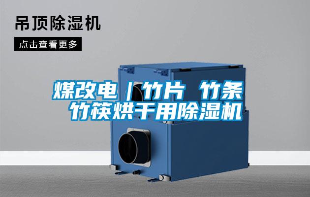 煤改电｜竹片 竹条 竹筷烘干用麻豆视频黄网站