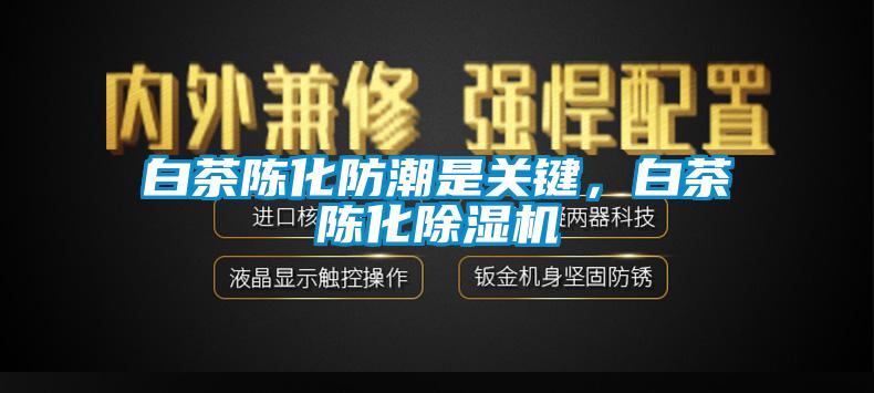 白茶陈化防潮是关键，白茶陈化麻豆视频黄网站