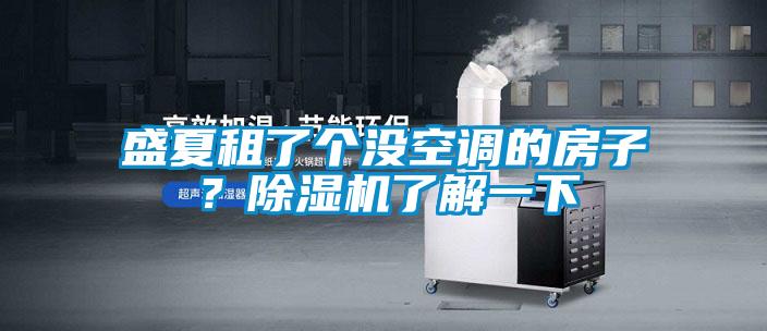 盛夏租了个没空调的房子？麻豆视频黄网站了解一下