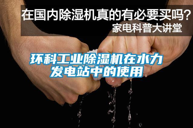 环科工业麻豆视频黄网站在水力发电站中的使用