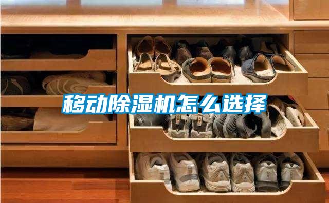 移动麻豆视频黄网站怎么选择