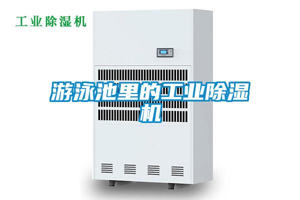 游泳池里的工业麻豆视频黄网站
