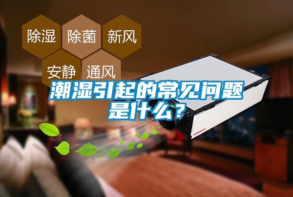 潮湿引起的常见问题是什么？