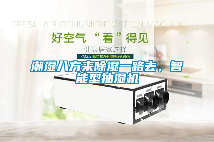 潮湿八方来除湿一路去，智能型抽湿机