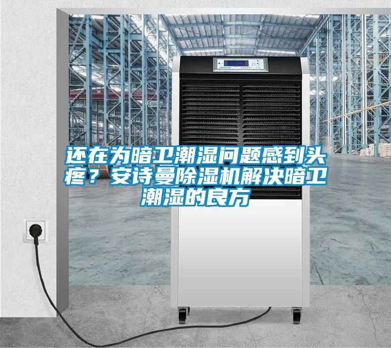 还在为暗卫潮湿问题感到头疼？麻豆APP官网麻豆视频黄网站解决暗卫潮湿的良方