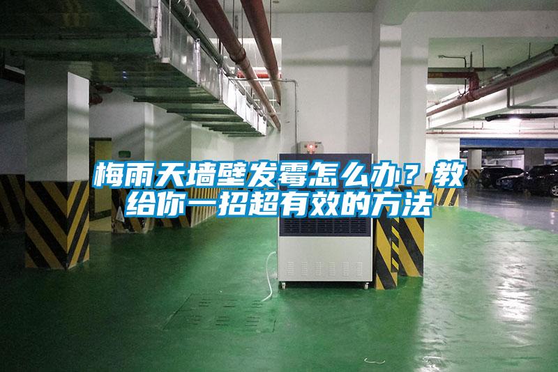 梅雨天墙壁发霉怎么办？教给你一招超有效的方法
