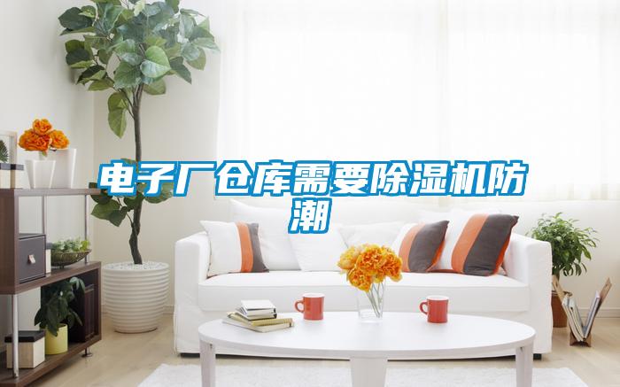 电子厂仓库需要麻豆视频黄网站防潮