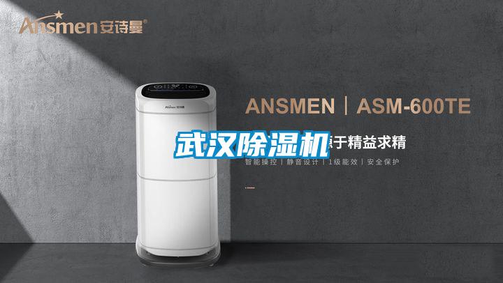 武汉麻豆视频黄网站