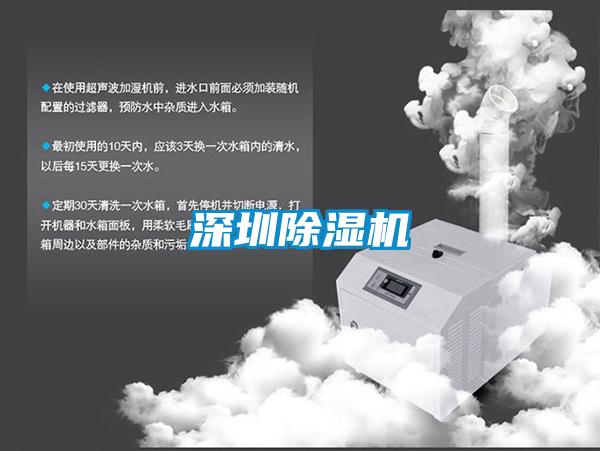 深圳麻豆视频黄网站