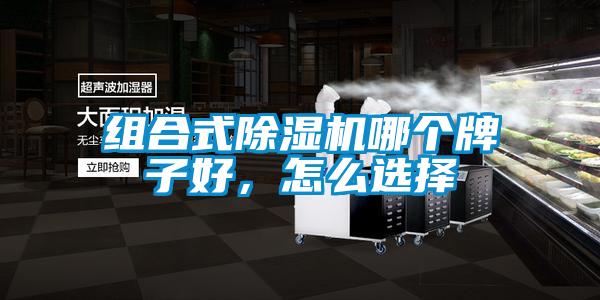 组合式麻豆视频黄网站哪个牌子好，怎么选择