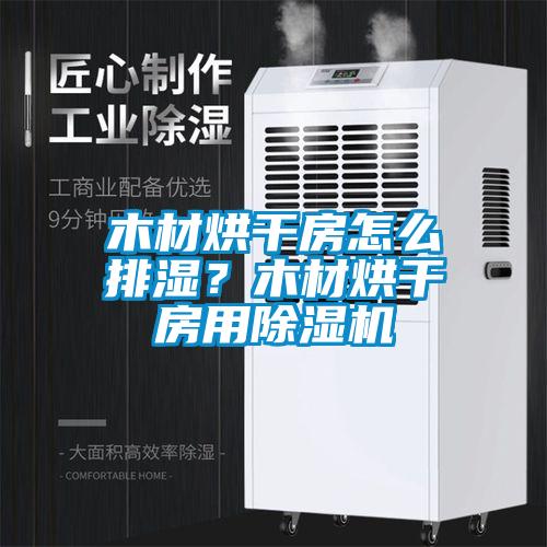 木材烘干房怎么排湿？木材烘干房用麻豆视频黄网站