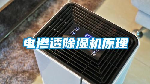 电渗透麻豆视频黄网站原理