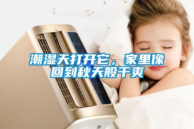 潮湿天打开它，家里像回到秋天般干爽