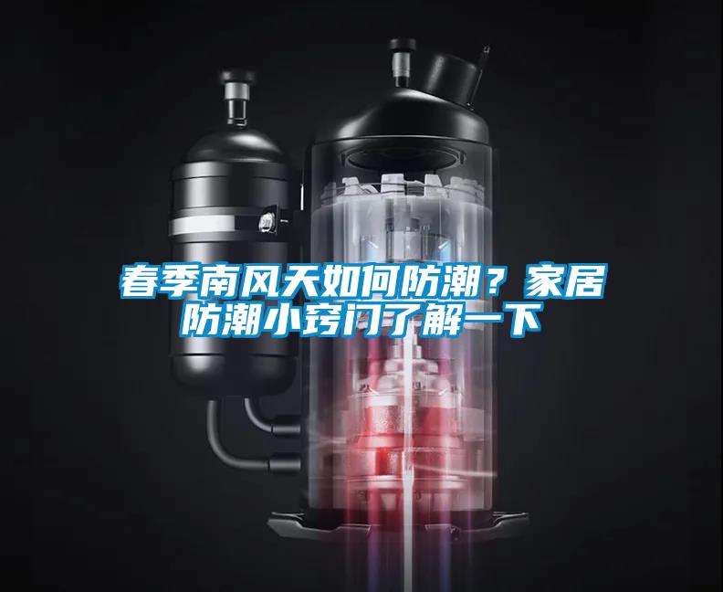 春季南风天如何防潮？家居防潮小窍门了解一下
