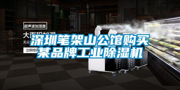 深圳笔架山公馆购买某品牌工业麻豆视频黄网站