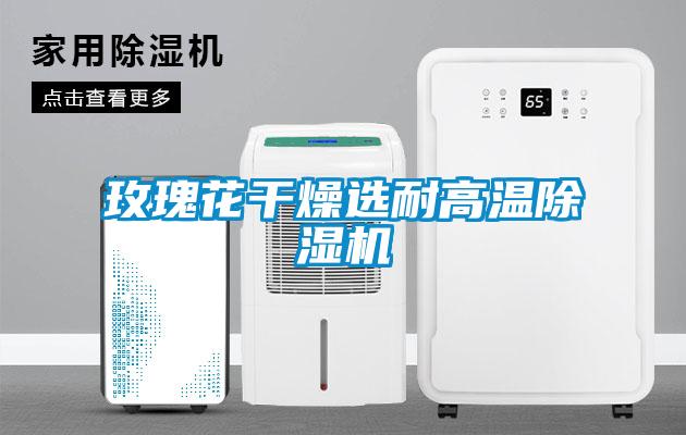 玫瑰花干燥选耐高温麻豆视频黄网站