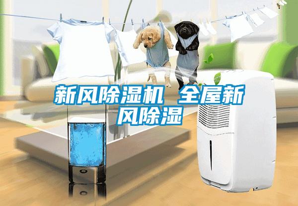 新风麻豆视频黄网站 全屋新风除湿