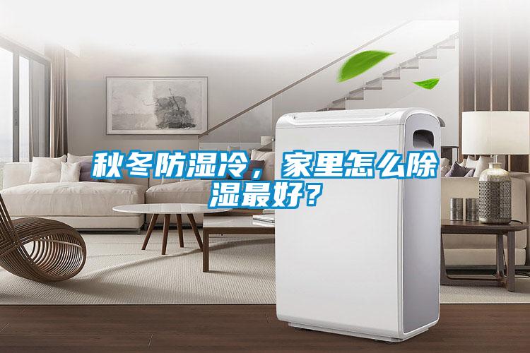 秋冬防湿冷，家里怎么除湿最好？
