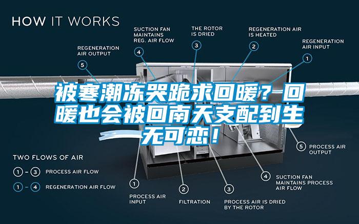 被寒潮冻哭跪求回暖？回暖也会被回南天支配到生无可恋！