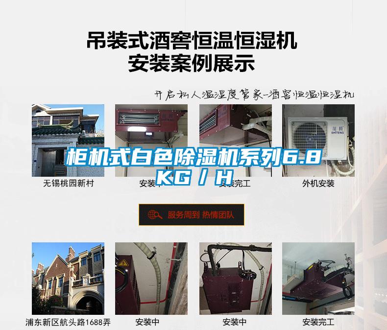 柜机式白色麻豆视频黄网站系列6.8KG／H
