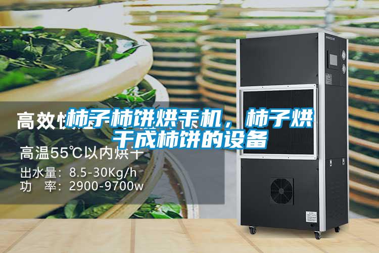 柿子柿饼烘干机，柿子烘干成柿饼的设备