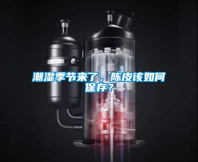 潮湿季节来了，陈皮该如何保存？
