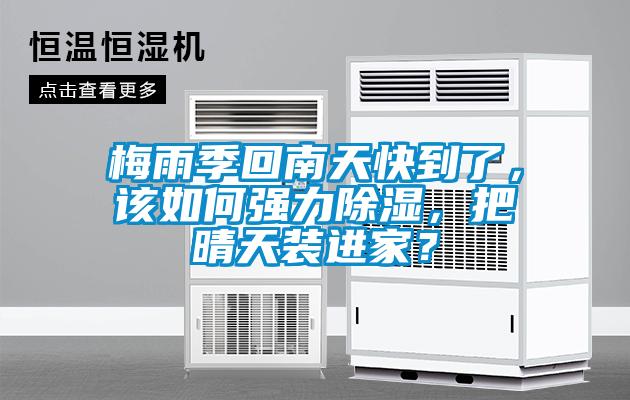 梅雨季回南天快到了，该如何强力除湿，把晴天装进家？