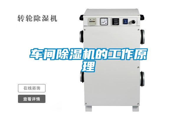 车间麻豆视频黄网站的工作原理