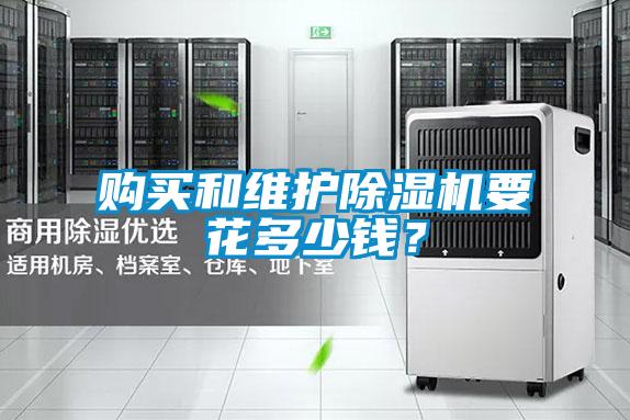 购买和维护麻豆视频黄网站要花多少钱？